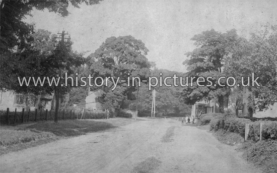 The Village, Quendon, Essex. c.1905